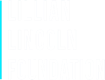 Lillian Lincoln Foundation logo